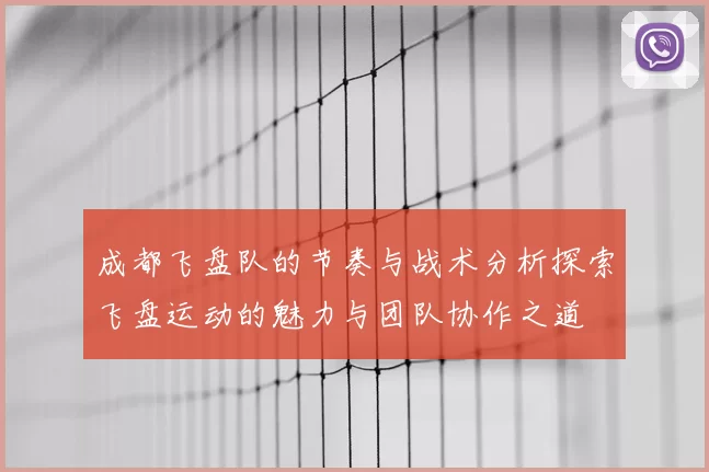 成都飞盘队的节奏与战术分析探索飞盘运动的魅力与团队协作之道