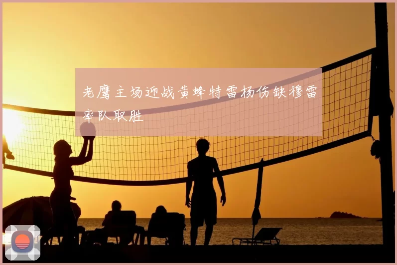 老鹰主场迎战黄蜂特雷杨伤缺穆雷率队取胜