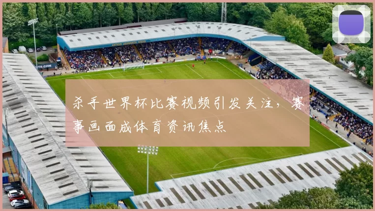 杀手世界杯比赛视频引发关注,赛事画面成体育资讯焦点