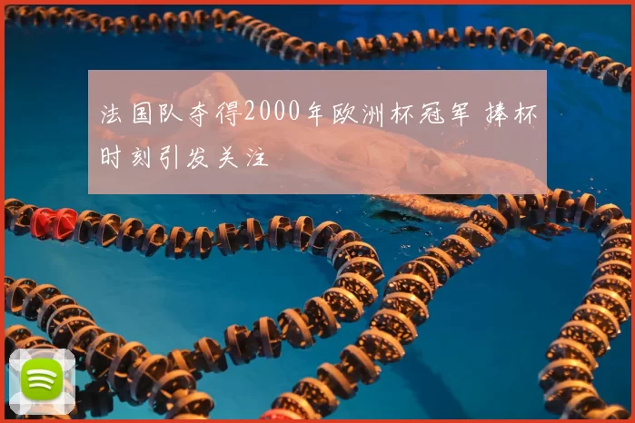 法国队夺得2000年欧洲杯冠军 捧杯时刻引发关注