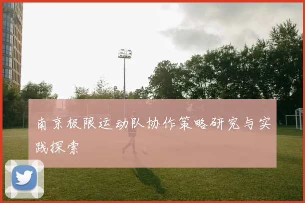 南京极限运动队协作策略研究与实践探索