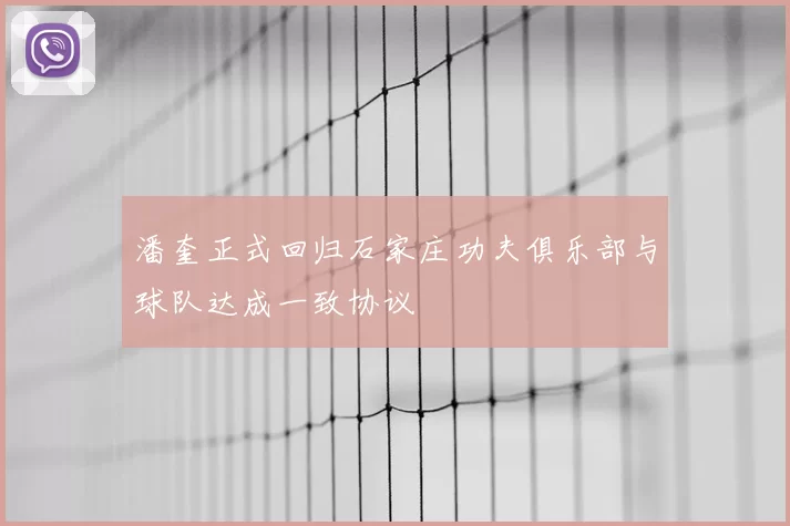 潘奎正式回归石家庄功夫俱乐部与球队达成一致协议