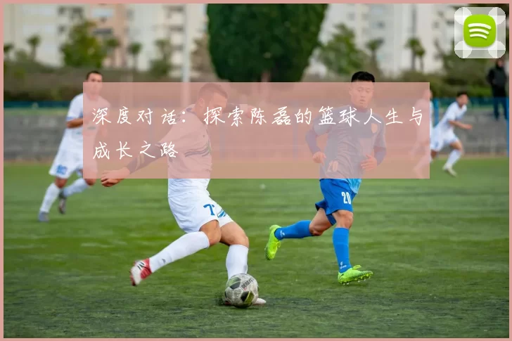 深度对话：探索陈磊的篮球人生与成长之路