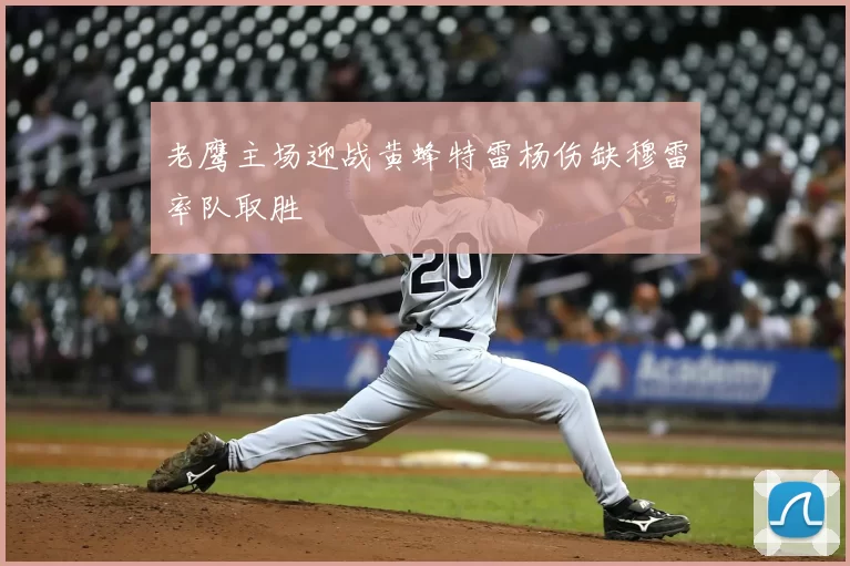 老鹰主场迎战黄蜂特雷杨伤缺穆雷率队取胜