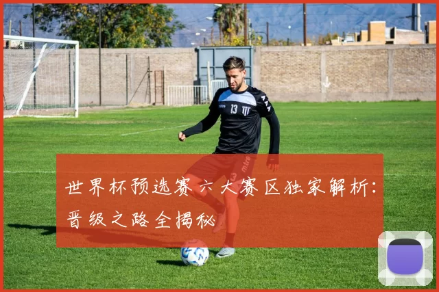 世界杯预选赛六大赛区独家解析:晋级之路全揭秘
